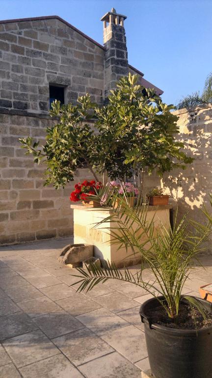 فندق Masseria Grande توري ديل أورسو المظهر الخارجي الصورة