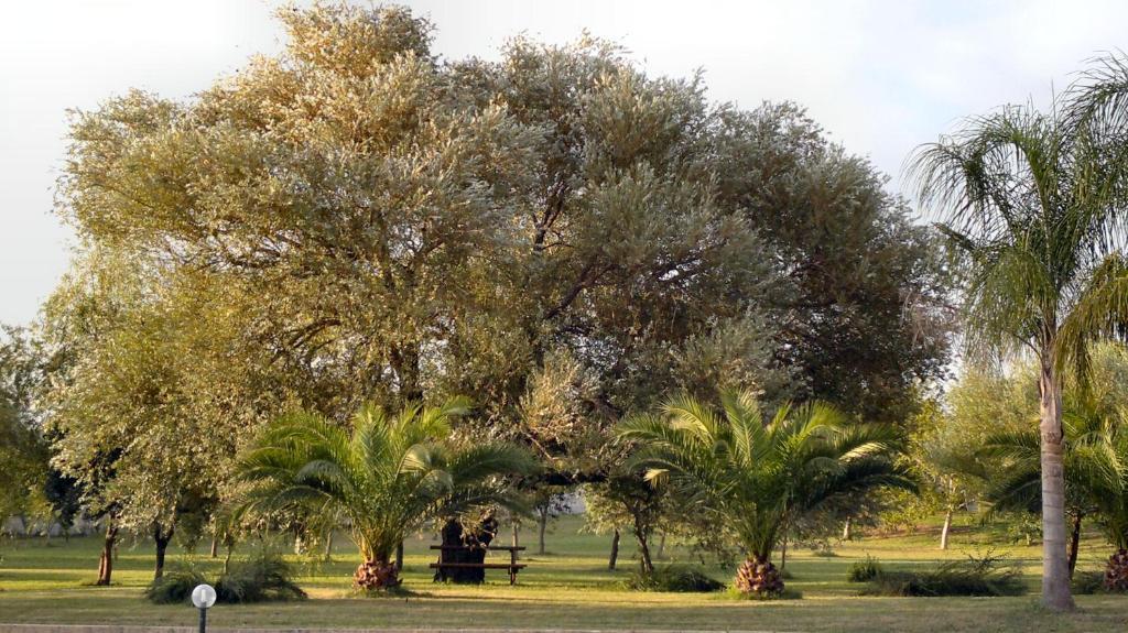 فندق Masseria Grande توري ديل أورسو المظهر الخارجي الصورة