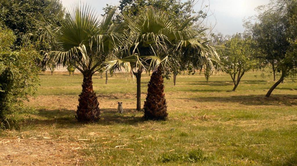فندق Masseria Grande توري ديل أورسو المظهر الخارجي الصورة